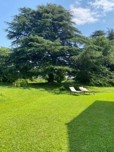 a park with two benches in front of a tree at Al Rustico in Bassano del Grappa