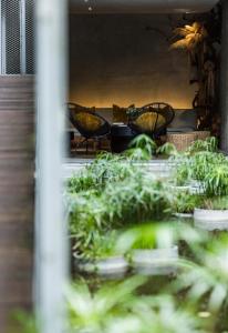 Taman di luar 了了礁溪 Vivir Jiaoxi Hotel