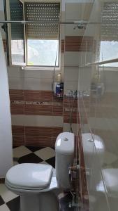 La salle de bains est pourvue de toilettes et d'une douche en verre. dans l'établissement Cheerful 3-Bedroom Private Villa in Borsh!, à Borsh