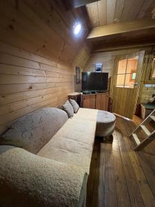 TV a/nebo společenská místnost v ubytování Apartman Kurjak