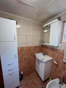 a small bathroom with a sink and a white refrigerator at Apartman Kurjak in Šavnik