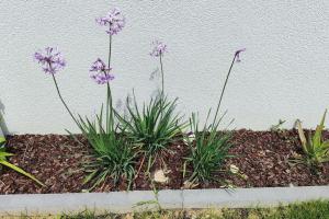 Gallery image of Salona Garden Apartman in Solin