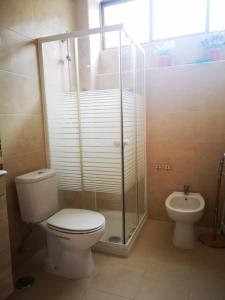 een badkamer met een toilet, een douche en een wastafel bij Caparica Lounge & Terrace in Costa da Caparica