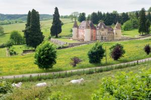 un vieux château sur une colline avec des vaches dans un champ dans l'établissement Maison de vacances Les Mésanges, à Ménessaire, à Ménessaire