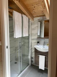 a bathroom with a shower and a sink at Le Sei Dame in Bardi