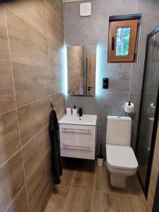 La salle de bains est pourvue de toilettes, d'un lavabo et d'un miroir. dans l'établissement Kemping nad stawem, à Harsz