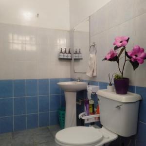 La salle de bains est pourvue de toilettes et d'un lavabo. dans l'établissement Cosy, serene and affordable 2bdr apartment off Waiyaki way, à Nairobi