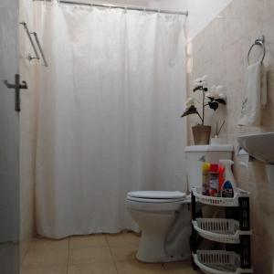 La salle de bains est pourvue d'un rideau de douche blanc et de toilettes. dans l'établissement Cosy, serene and affordable 2bdr apartment off Waiyaki way, à Nairobi