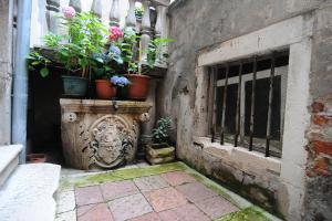 Фотография из галереи Apartman Bella,ŠIBENIK,Croatia в Шибенике
