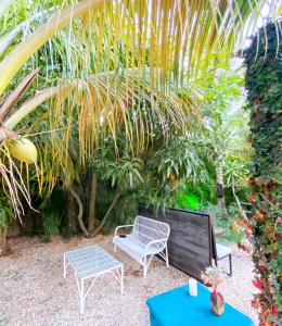 Fotografie z fotogalerie ubytování Green Oasis Hotel v destinaci La Romana