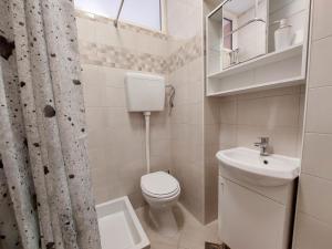 a small bathroom with a toilet and a sink at Apartments Katica in Selce +30 photos