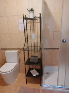 ein kleines Bad mit einem WC und einer Dusche in der Unterkunft Antonia Apartments in Trogir