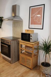 a kitchen with a stove and a microwave at Stilvolle Altbauwohnung im Zentrum von Bad Schandau in Bad Schandau