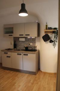 Stilvolle Altbauwohnung im Zentrum von Bad Schandau tesisinde mutfak veya mini mutfak