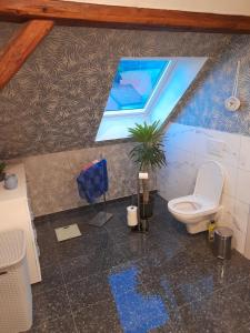 a bathroom with a toilet and a window at Harzland in Drübeck