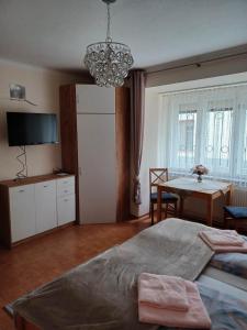 Kuchyň nebo kuchyňský kout v ubytování Steinadler apartman Dog-friendly, quiet, garden house with private parking and beautiful views - Kertes apartman egy szoba áráért