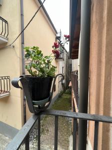 un balcón con una maceta en el lateral de un edificio en Totò’s house, en Zaccanopoli