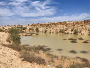 a body of water in the middle of a desert at Desert View Home in Ashalim