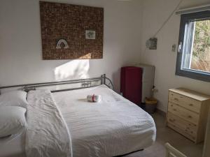 a bedroom with a bed with a pillow and a window at Desert View Home in Ashalim