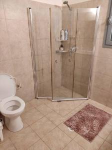 un bagno con doccia e WC di Desert View Home a Ashalim