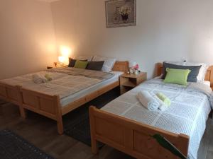two beds sitting next to each other in a bedroom at Kuća za odmor Miriam in Otočac