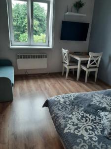 Televízia a/alebo spoločenská miestnosť v ubytovaní Apartamenty Marco 3 przy Dworcu-Stare Miasto-Super Wi Fi