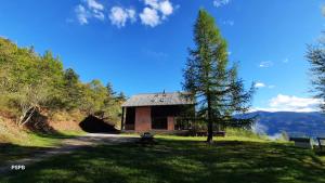 a building with a tree in the middle of a field at Refuge de Roncharel in Annot