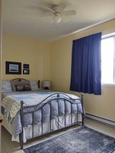 een slaapkamer met een bed met een blauw gordijn en een raam bij North Sea Whale House in Princeton