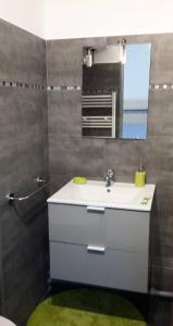 uma casa de banho com um lavatório e um espelho em BEAU STUDIO FRONT DE MER 2 mn DE LA PLAGE em La Ciotat