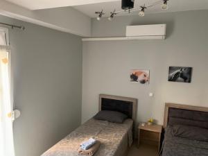 1 dormitorio con 2 camas y ventana en Τhe Sunny Apartments en Igoumenitsa