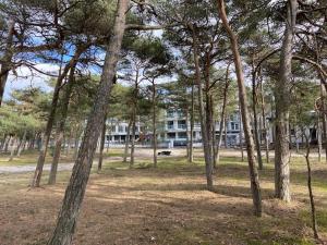 a group of trees in a park with a building in the background at Apartament Ardea Rowy in Rowy