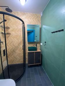 a bathroom with a shower and a sink and a mirror at Apartament Ardea Rowy in Rowy