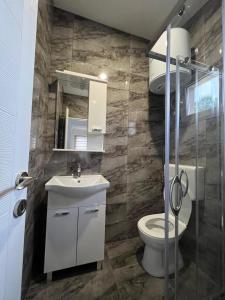 a bathroom with a toilet and a sink at Apartmani Zeleni Vrtovi in Visoko