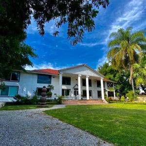 Biały dom z palmą na podwórku w obiekcie Casa de la O w mieście Yautepec