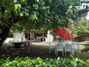 una mesa y sillas con una sombrilla roja en Villa Livia, en Villammare