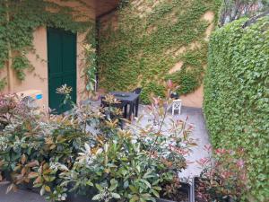 un jardín con una puerta verde y algunas plantas en La Corte del Sant'Orsola, en Bolonia