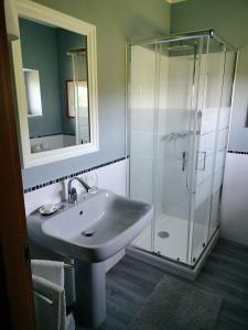 uma casa de banho com um lavatório e um chuveiro em Casa relax immersa nel verde della natura em Casalborgone