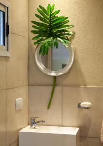 a bathroom with a mirror and a sink and a plant at Hermoso Triplex en Sierra de la Ventana in Sierra de la Ventana