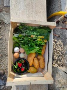 uma caixa cheia de legumes e ovos em Agriturismo Sant'Anna Ortì in oliveta biologica con vista sullo Stretto di Messina em Orti