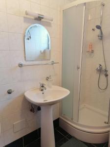 een badkamer met een wastafel en een douche bij Villa Nora Garden in Sarajevo