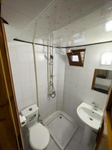 małą łazienkę z toaletą i umywalką w obiekcie Grand Atlas Hotel w mieście Pamukkale