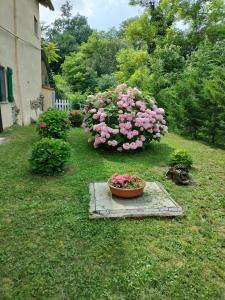 um pote de flores cor-de-rosa num quintal em Casa relax immersa nel verde della natura em Casalborgone