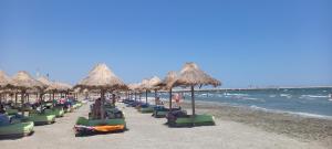 a beach with chairs and straw umbrellas and the ocean at Sea Ray Studio in Năvodari