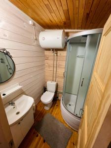 La salle de bains est pourvue de toilettes, d'une douche et d'un lavabo. dans l'établissement Sodyba Duobys, à Alanta