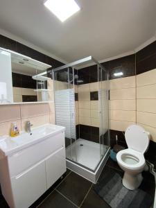 Koupelna v ubytování Кришталеві вершини