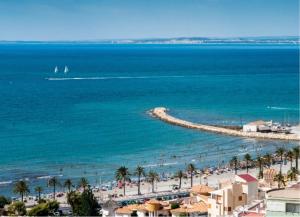 vista su una spiaggia con palme e sull'oceano di bungalows Santa Pola a Gran Alacant