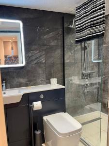 a bathroom with a toilet and a sink and a shower at SHOREDITCH ROOMS - Apartments and Rooms in The City in London