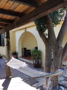 a hammock tied to a tree in front of a house at Il Villino in Platamona