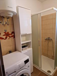 a washing machine in a bathroom with a shower at Apartment Velika obala in Bibinje +15 photos
