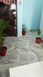 a room with three potted plants in front of a door at OYO Hotel Sky Bird in Pehowa